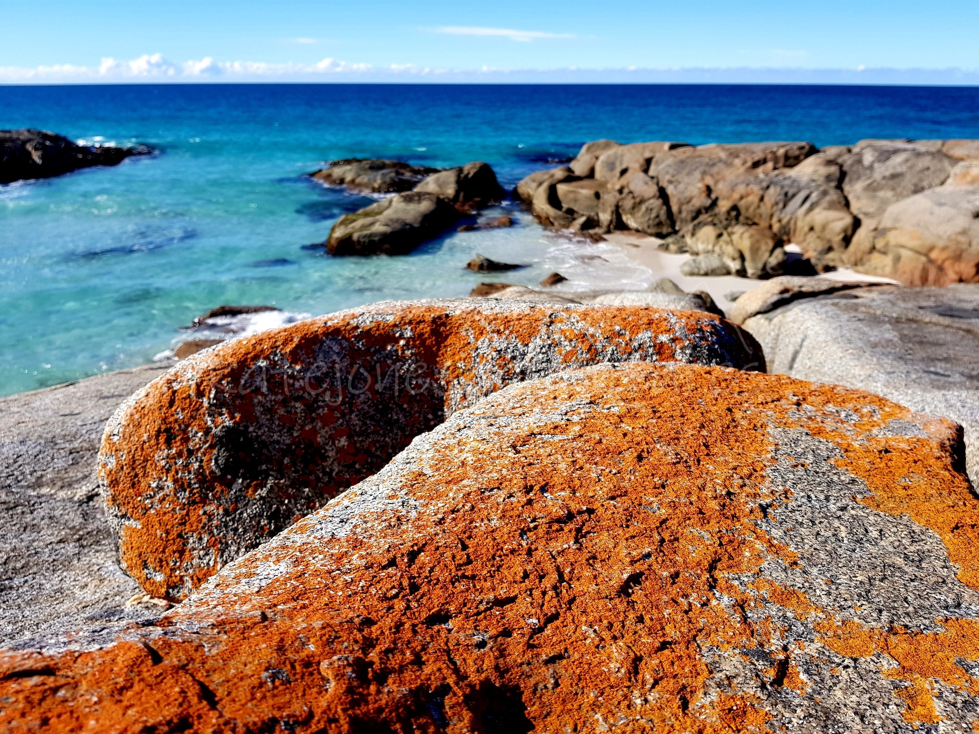 20180429_155054_marked