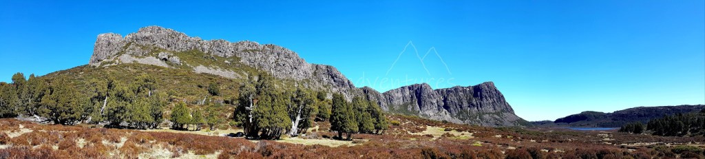 Welcome to the Walls