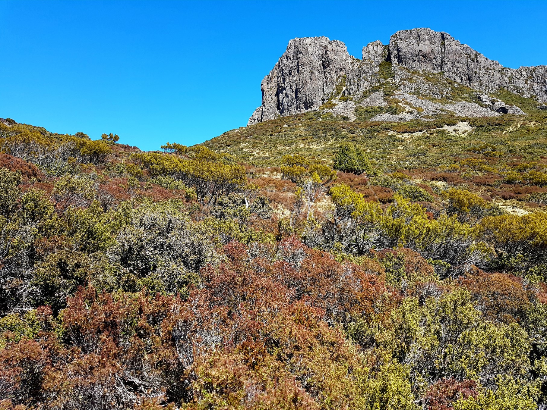 20181031_195047_marked