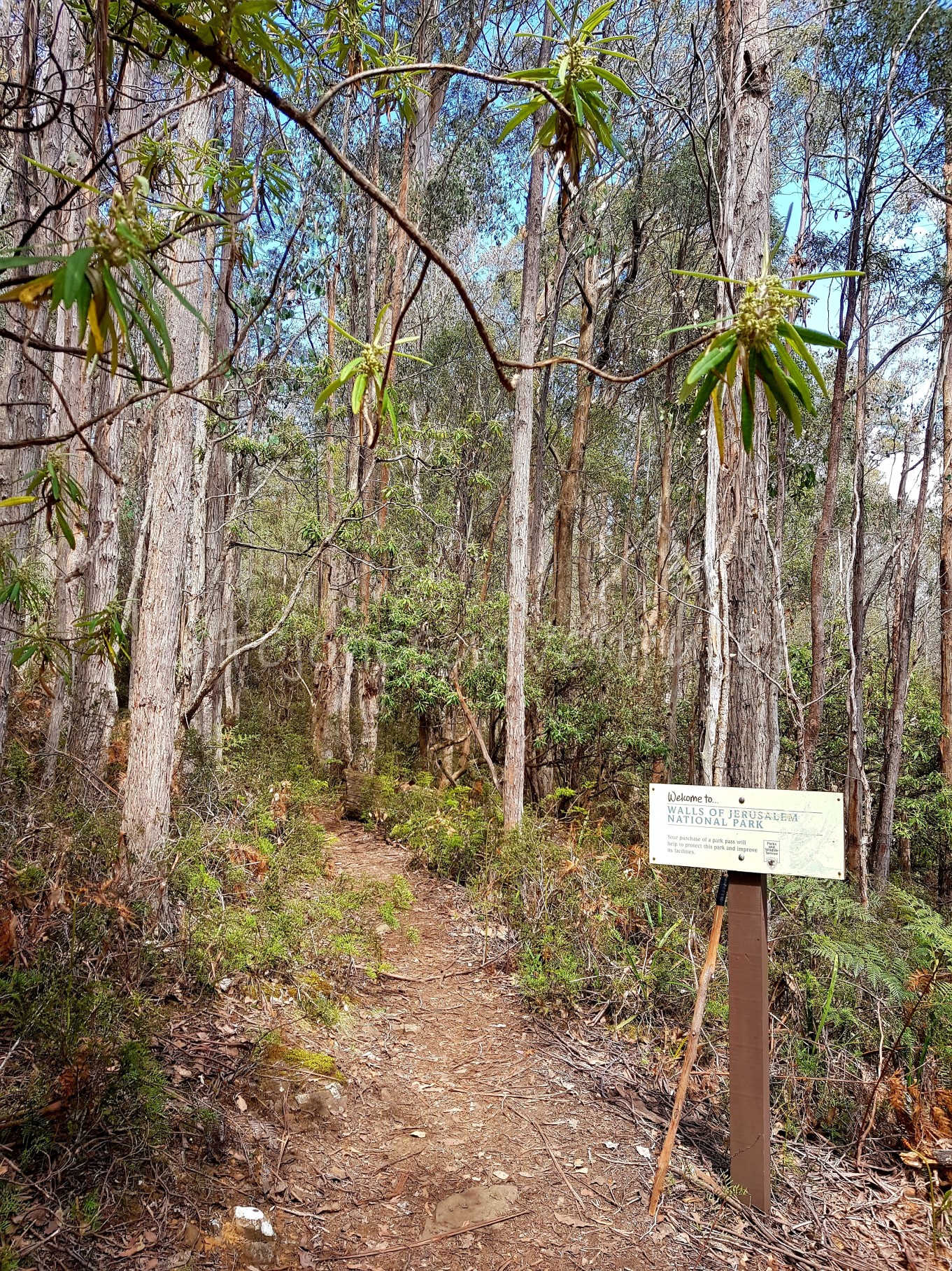 20181103_141633_marked