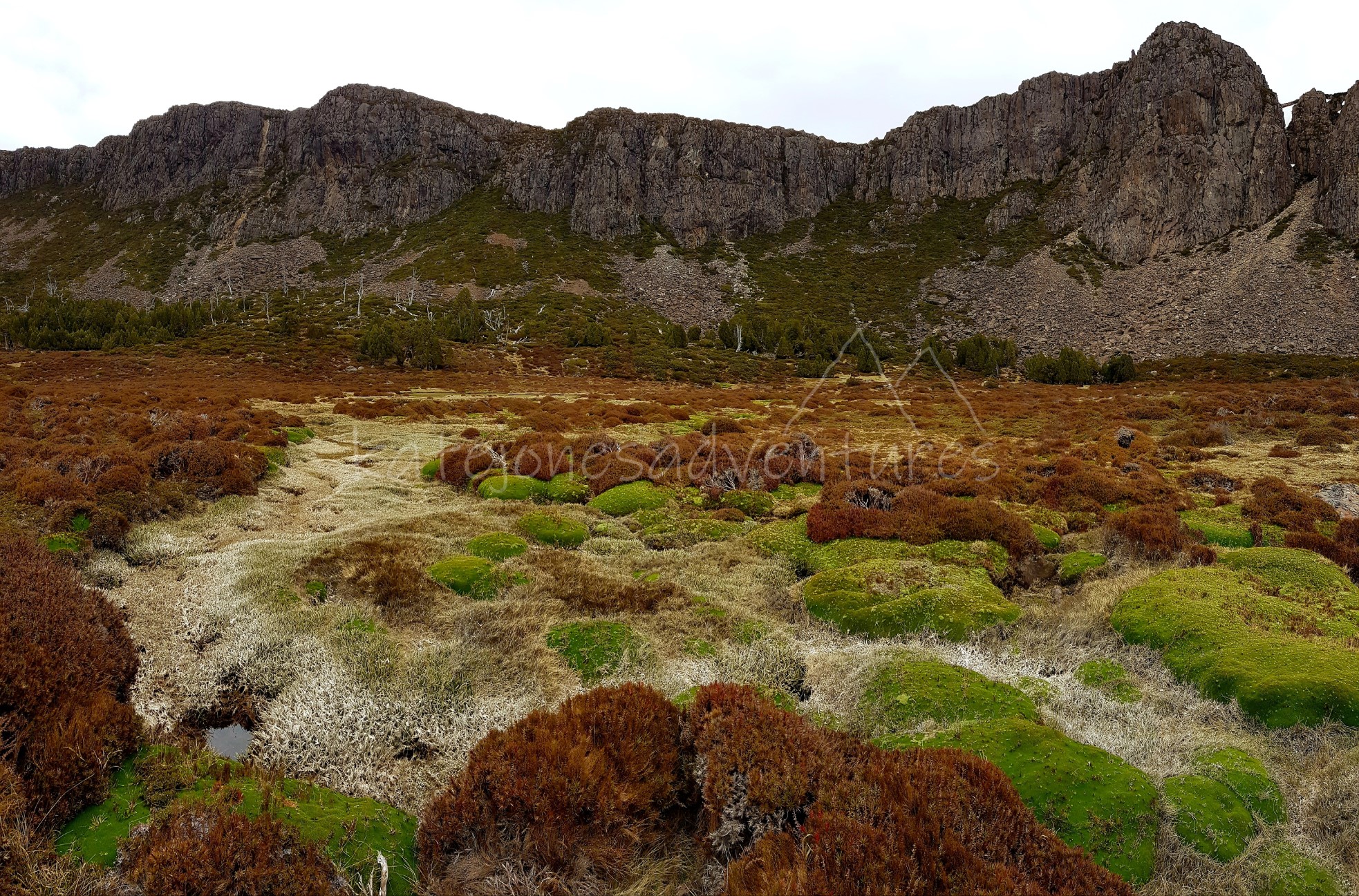 20181103_141654_marked