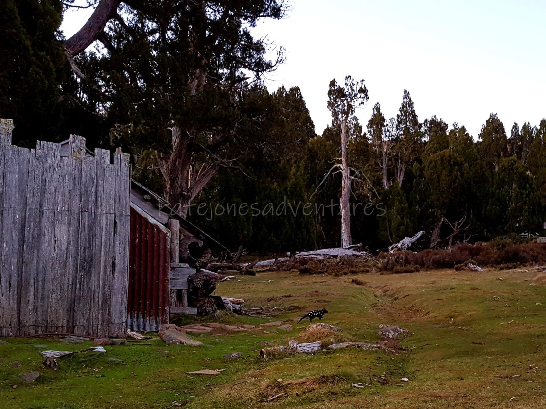 20181103_141839_marked