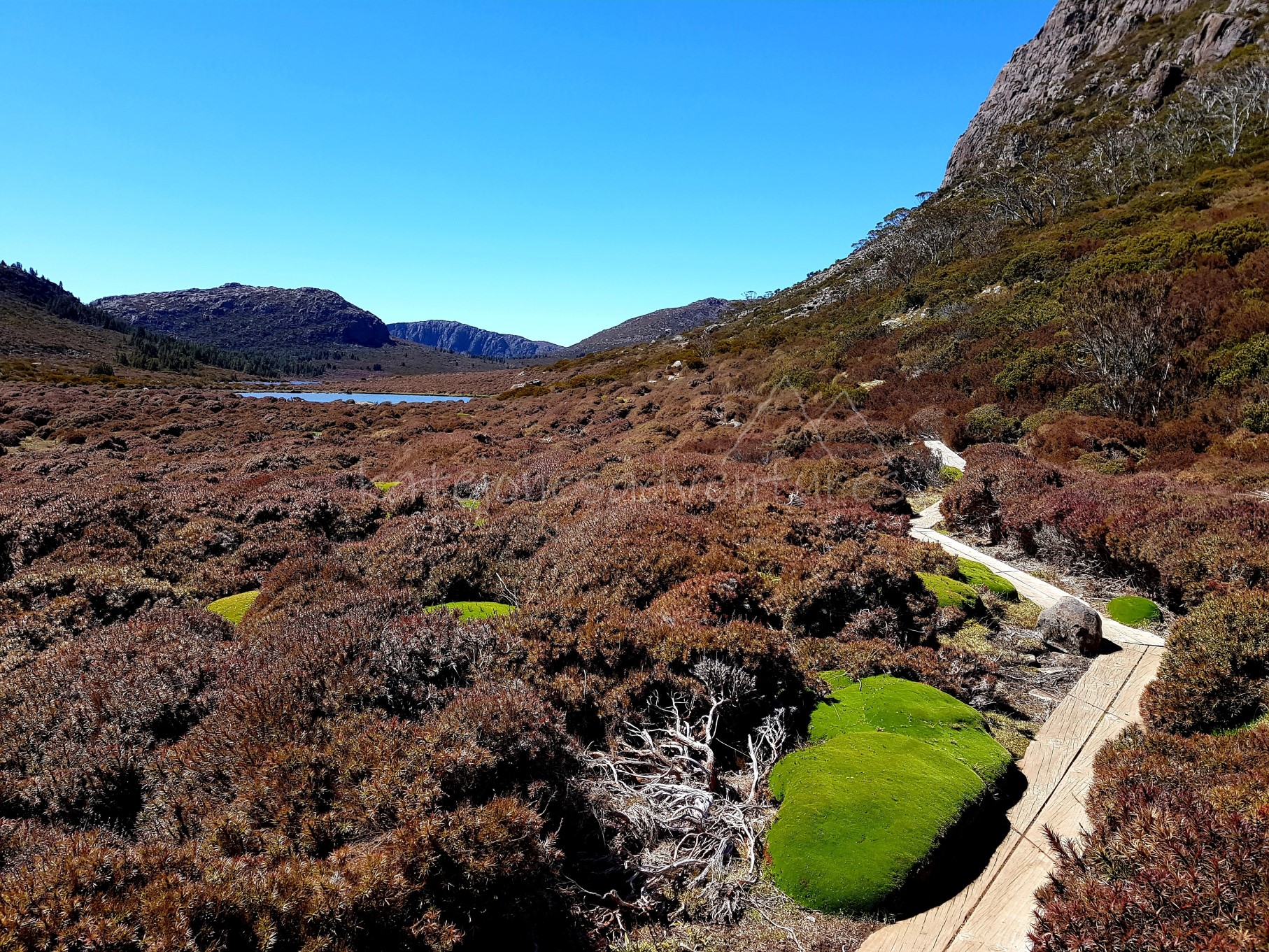 20181103_142331_marked