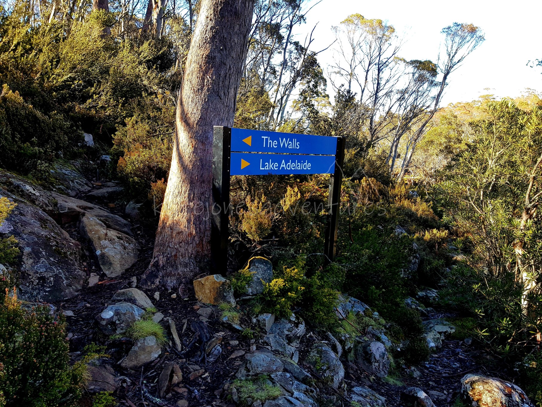 20181103_142436_marked