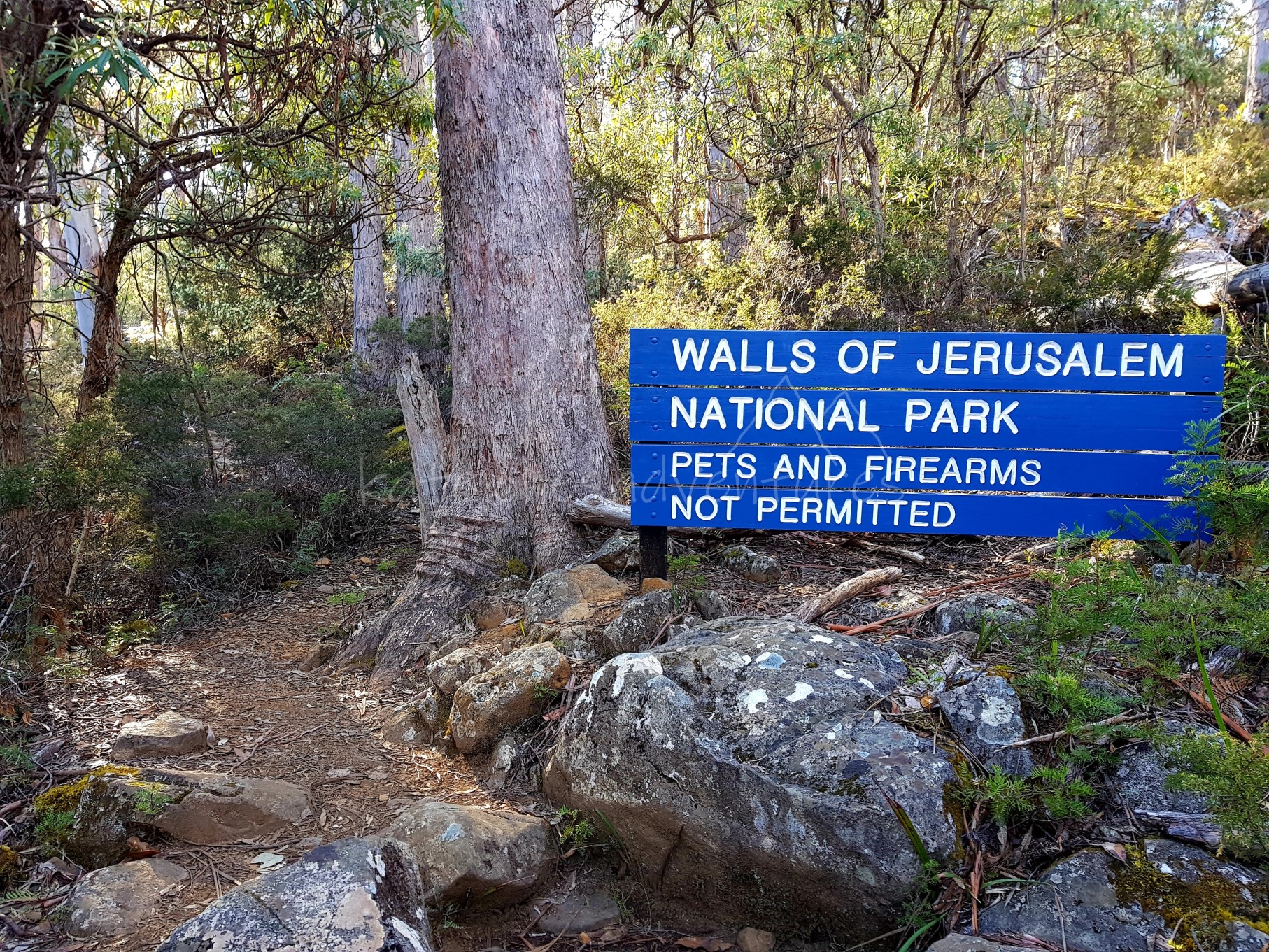 20181103_142456_marked